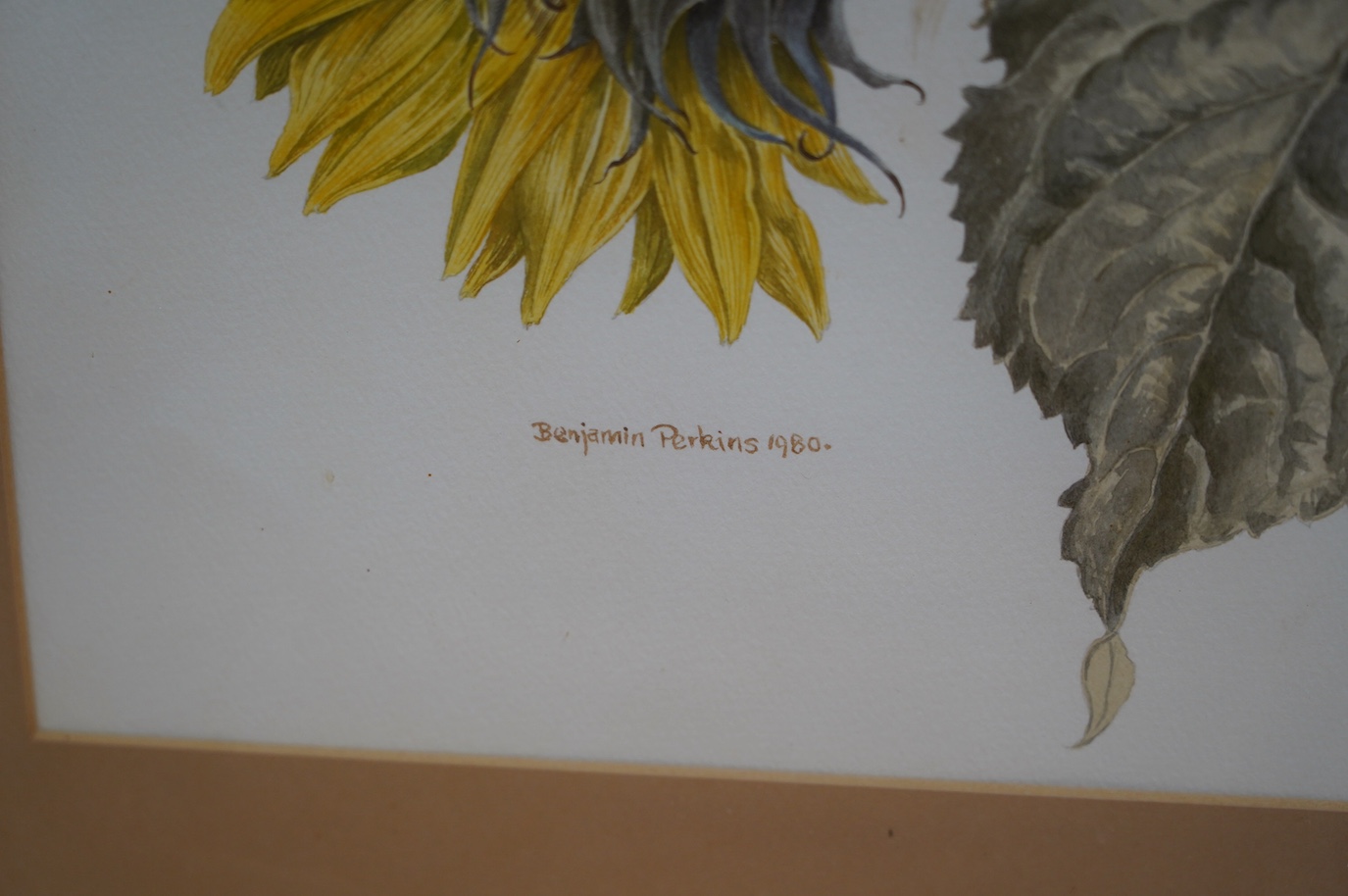 Bernard Perkins, watercolour, Study of sunflowers, dated 1980, 52 x 35cm. Condition - good